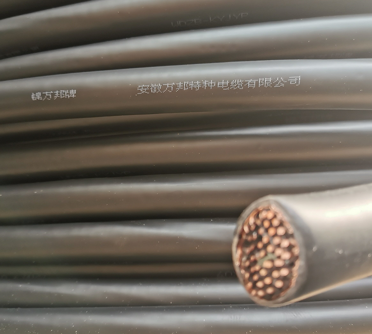 WDZBN-RYJ-0.45/0.75KV 50-銅芯-黑色